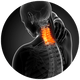 Neck