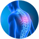 Spine