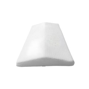 <div class="metafield-rich_text_field"><p>1 Pillow</p></div>